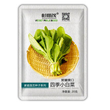 蔬菜种子 青菜番茄种籽 小葱草莓家庭四季蔬菜种子 阳台庭院种植超甜圣女果菜籽 四季小白菜种子20g