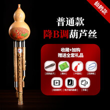 XINXIANGXI 葫芦丝c调 降b调初学者小D调G调F调儿童成人小学生乐器 仙鹤普通款 降B调