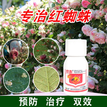 瀚沃 杀红蜘蛛专用药柑橘治疗月季玫瑰去红蜘蛛药剂花药杀虫剂花卉植物 20g