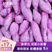 好乐果 现挖农家小紫薯 地瓜 新鲜蔬菜 紫肉蜜薯生鲜水果 5斤中小薯