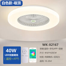 卧室灯吸顶风扇灯餐厅吊扇灯超薄隐形带电风扇吊灯 白色款-无极调光-遥控+手机APP控制