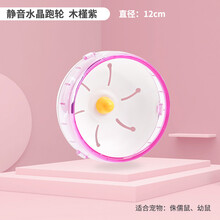 宠尚天 仓鼠跑轮玩具静音支架滚轮金丝熊刺猬用品大号21cm跑步轮子跑球 静音水晶跑轮(木槿紫12cm)