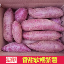 农家紫薯新鲜现货地瓜紫紫心紫薯农家自种5斤 大果