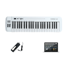 SAMSON山逊 MIDI键盘控制器Graphite 49/M25半配重Carbon 61合成器 Carbon 49+延音踏板+音源软件