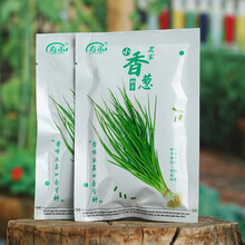 寿禾蔬菜种子批发山东寿光青菜四季冬季播种蔬菜之乡品质种籽高产优质阳台大田春季菜籽 寿禾农家小香葱种子50g（约1万粒）