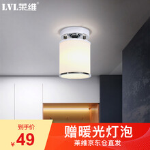 莱维过道灯玄关灯走廊门厅阳台入户客厅卧室led吸顶灯具 画蕨银