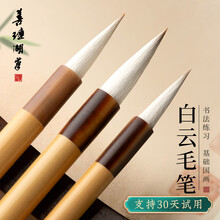 善琏湖笔 兼毫毛笔套装 文房四宝毛笔初学者国画书法大中小楷书用笔 楷书用笔中
