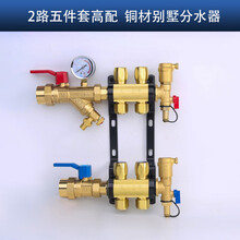 天一金牛（TIANYIJINNIU）地暖地热集分水器 别墅豪宅家装 铜加厚分水器 地暖5路 一体锻造 2路分水器五件套高配款