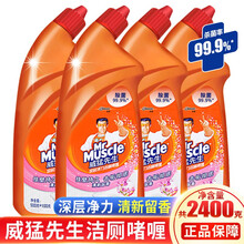 威猛先生(Mr Muscle)洁厕液 洁厕灵花香马桶清洁剂除污渍污垢剂去尿垢清香型卫生间除臭强力去污 5合1洁厕600g(4瓶)