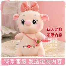 超萌猪猪玩偶可爱毛绒玩具猪公仔大号布娃娃抱枕女生睡觉生日礼物 贝比猪-女款(私人定制款 印字 加图片) 50厘米(高品质棉填充)