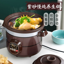 电炖锅家用煲汤砂锅煮粥迷你BB辅食锅陶瓷电炖盅全自动养生紫砂锅 预约版【可预约定时】 6.0L（适合5-9人使用）