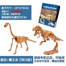 七夕情人节生日礼物送男朋友女朋友泰国恐龙化石考古挖掘玩具 益智儿童霸王龙diy拼装仿真骨架模型定制定 霸王龙+腕龙(两只装)D93