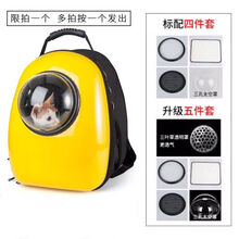 猫咪背包全透明太空舱外出宠物包双肩狗狗背包龙猫兔子幼猫包用品1 6孔柠檬黄 标配四件套