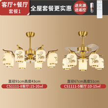 凯萨罗灯客厅风扇灯全铜吊扇灯现代中式电风扇吊灯CS1111 套餐1 风扇灯为遥控款 送LED光源