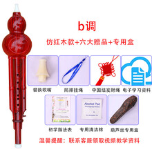 XINXIANGXI 葫芦丝乐器初学c调降b调儿童中小学生成人演奏型胡芦丝自学 红色降b调+皮盒+