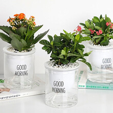 九月生 自动吸水花盆北欧风PP树脂塑料双层透明懒人棉绳自动浇水花器 绿萝园艺多肉吊兰盆栽水培植物盆器小号