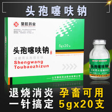 注射用头孢噻呋钠兽用 注射用孢头噻呋钠 头饱 兽用头孢 1盒【20支装】