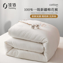 佳佰 被子被芯 新疆棉被春秋被 100%新疆精梳全棉花被棉絮四季棉花胎垫被白色-6斤  200*230cm