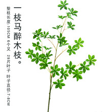 仿真日本吊钟马醉木树枝多瓣叶树叶假花装饰植物摆设绿植叶子盆栽 一枝仿真马醉木