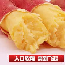 沙地红薯番薯新鲜当季板栗红薯小地瓜糖心山芋农家自种干甜粉糯孕妇小孩吃整箱 1500g