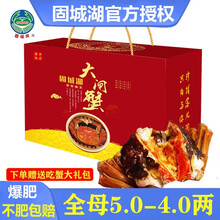 【活蟹现货】必有重蟹清水大闸蟹固城湖鲜活螃蟹特大全母全公河蟹毛蟹六月黄大蟹生鲜海鲜水产中秋礼盒装现货 【礼盒】公5.0-4.6两母3.5-3.2两8只