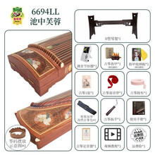 敦煌古筝696D双鹤朝阳初学者入门演奏古筝琴 专业考级古筝乐器上海民族乐器一厂 6694LL池中芙蓉+琴架+大礼包