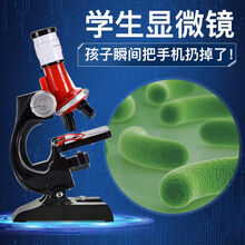显微镜儿童高倍科学微生物套装科普学习实验小学观察科教玩具 高清1200倍+12标本+支架+