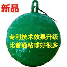 诱蝇球柑橘大实蝇果树粘虫球果园瓜果实蝇粘蝇球粘果蝇针蜂诱捕器 绿色8cm香味引诱 200个强烈推荐【送10个粘蝇球】