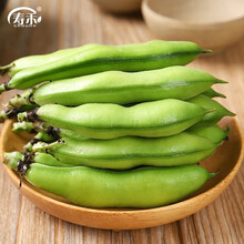寿禾 大蚕豆种子种籽兰花豆北斗七星四季架豆 高产农家自种春秋冬季播种蔬菜菜籽四季播易种豆类菜籽 农家蚕豆种子500g散装