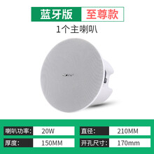 先科 S3D无线蓝牙吸顶音响家用客厅喇叭重低音环绕背景音乐壁挂音箱广播室内店铺餐厅天花吊顶套装嵌入式 至尊蓝牙吸顶主机