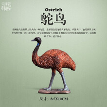 冠达玩具飞禽仿真动物模型 鹦鹉飞鹤秃鹫鹈鹕儿童玩具鸟类模型 儿童认知玩具3-10岁 鸵鸟