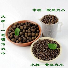 铺面 绿植花卉多肉用无土栽培排水层盆底铺垫 大中小可选 陶粒3L小粒 (约1.3kg)