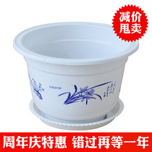 玖枝苑 批发优质塑料花盆 白色圆形简约花盆 阳台种花种菜多肉育苗盆含托盘 230型-口径21厘米 送托盘