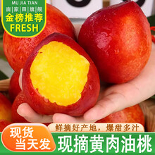亩家田现货山西黄心油桃超甜新鲜水果当季大桃子时令黄肉脆蜜桃子整箱 5斤实惠优选中果