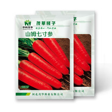 中科茂华蔬菜种子山姆七寸参胡萝种子根肉芯三红高产红萝卜種子中早熟基地种植10克
