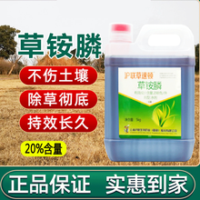 沪联植保 除草剂 20%草铵膦草胺磷水剂 果园荒地灭生除草超越草甘膦开荒非耕地灭草药灭草剂除草剂 5000ml/桶 新货当天配发