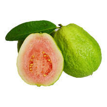 水果红心番石榴