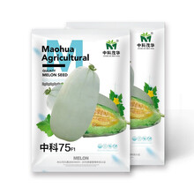 中科茂华瓜果种子中科75优质甜瓜种子薄皮肉厚超甜多汁短棒形绿肉橘瓤50粒