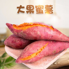 【福建六鳌红蜜薯】新鲜红薯番薯地瓜整箱农家山芋5斤9斤10斤 9斤装大薯 约20～30个