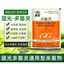 国光多菌灵多肉月季杀菌剂通用花药百菌清灵农药花卉植物养花 500g