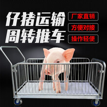 友牧 仔猪运输周转推车 橡胶轮子周转运猪推车70*140厘米 宽60*长140