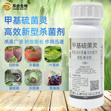 东合甲基硫菌灵甲托果树蔬菜花卉白粉病黑斑病轮纹病叶斑病杀菌剂 200g