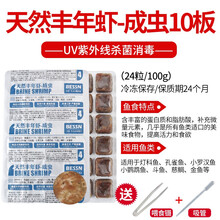 BESSN红虫冰冻牛心汉堡丰年虾冷冻红虫罗汉鱼金鱼七彩鱼发财鱼饲料 【顺丰】丰年虾成10板+1板+喂食镊+吸管