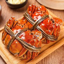 【活蟹】姚鲜品旗舰店  大闸蟹礼盒鲜活特大螃蟹活体现货公母产地直发缺重包赔 2.5两母3.5两公对半 10只装