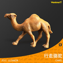 玩模乐非洲草原野生动物玩具模型 大象斑马河马犀牛猛犸象骆驼模型  儿童认知玩具3-10岁 行走骆驼