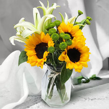 沁花鲜花云南基地直发多头玫瑰向日葵康乃馨小雏菊鲜切花束礼盒水养家用插花全国速递送花店朋友闺蜜生日礼物 3支向日葵+3支绿雏菊+5朵随机百合