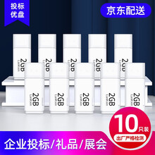兰科芯 小容量u盘1G 招标优盘2G 投标U盘4g展会议企业公司礼品U盘可定制LOGO 10只装 白色2G