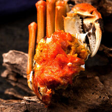 鲜美惊 【全母全公大蟹】大闸蟹鲜活现货螃蟹0.8-4.0两礼盒 (公3.5 母2.5)8只装