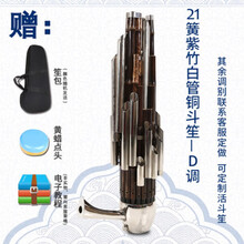 笙乐器民乐14簧方笙17簧21簧圆笙扩音笙初学专业演奏 21簧紫竹白管铜斗笙-D调