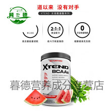 xtend支链氨基酸bcaa健身剂谷氨酰胺肌酸bacc支链氨氨基酸 青苹果味 90份